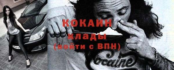 ГАЛЛЮЦИНОГЕННЫЕ ГРИБЫ Лагань