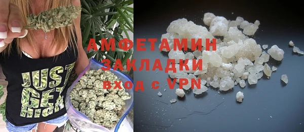 ГАЛЛЮЦИНОГЕННЫЕ ГРИБЫ Лагань
