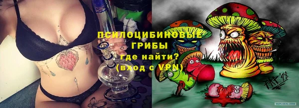 мет Магас