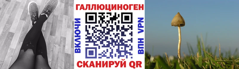 где купить   Тутаев  Галлюциногенные грибы Magic Shrooms 