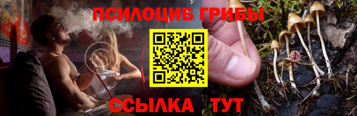 Псилоцибиновые грибы Magic Shrooms Тутаев